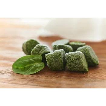 Frozen Spina ch (34)-1665785-47852.webp